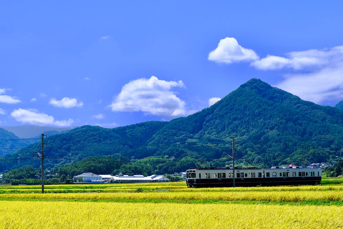 長野県のローカル線に乗って旅しよう | Go! NAGANO 長野県公式観光サイト