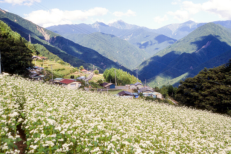 下栗の里 最大傾斜38度 暮らしが息づく天空の秘境 | Go! NAGANO 長野県