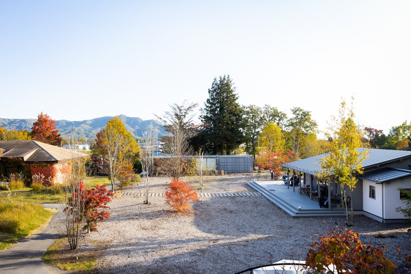 コレクション アートライフ 長野