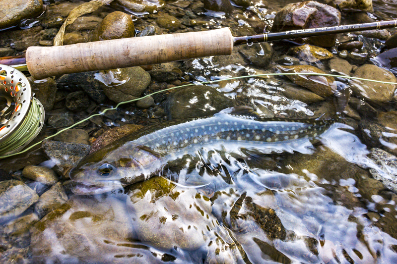 ▽長野県の渓流釣り場ガイド 南信編 釣り ヤマメ イワナ 山と渓谷社 ファッション 渓流 a