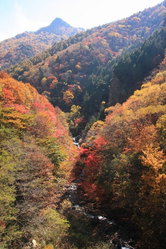 長野の渓谷14選】4～11月がおすすめシーズン。川や滝、岸壁など雄大な自然美を間近で体感しよう | Go! NAGANO 長野県公式観光サイト