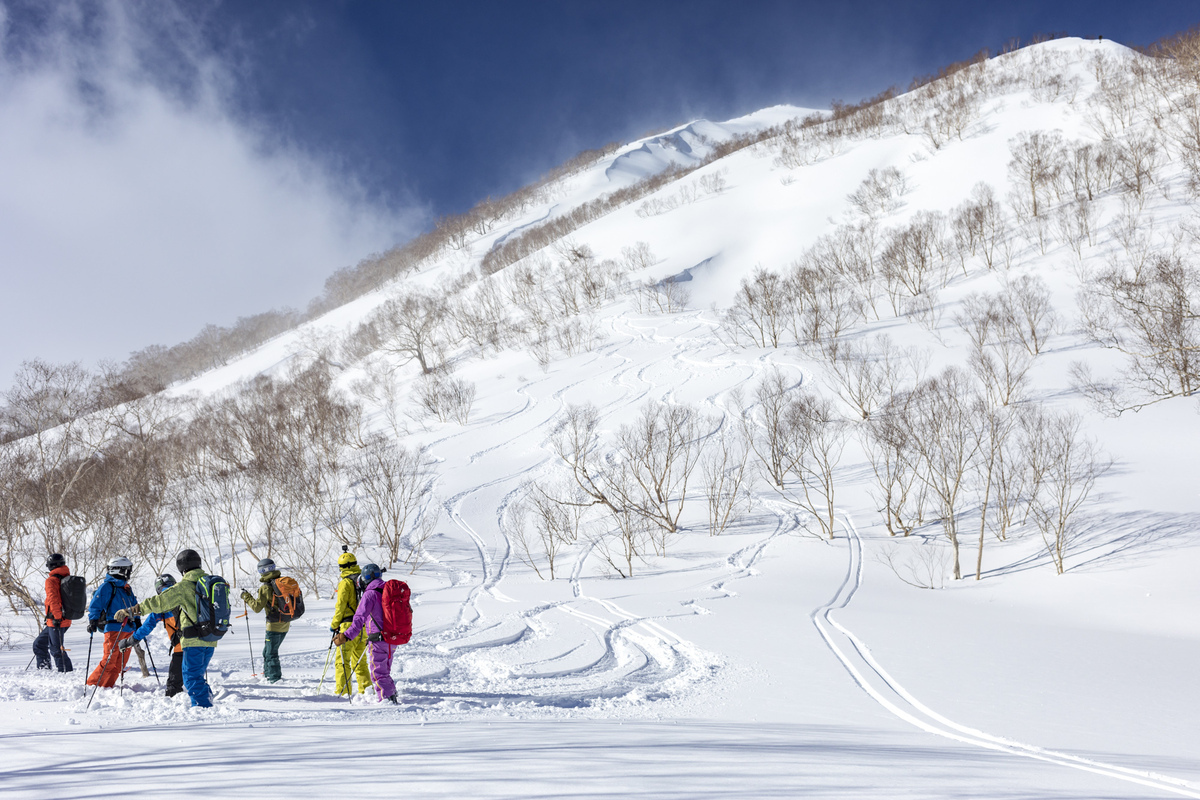 厳しくも美しい雪山の世界「ガイド共にパウダー滑走＆バックカントリー ...