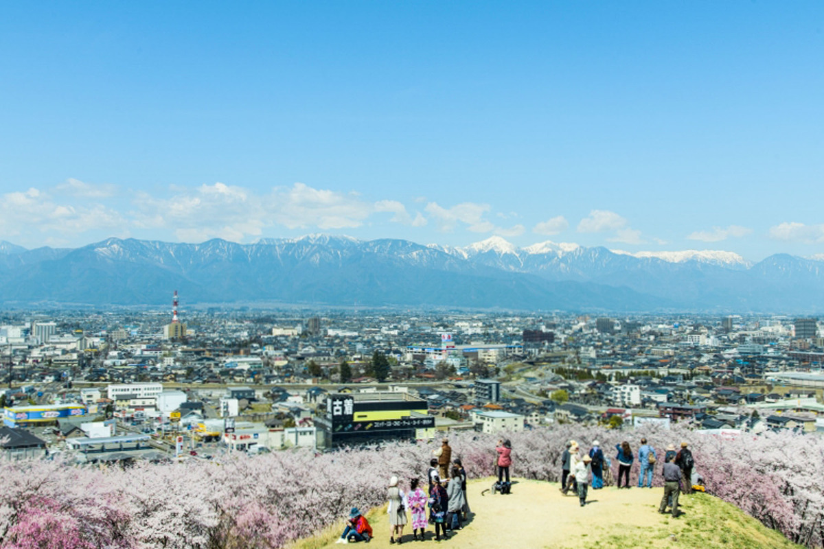 特集『新緑の長野へ。“ハレの日旅”』 花を見に、山へ行こう！ 春⼭で