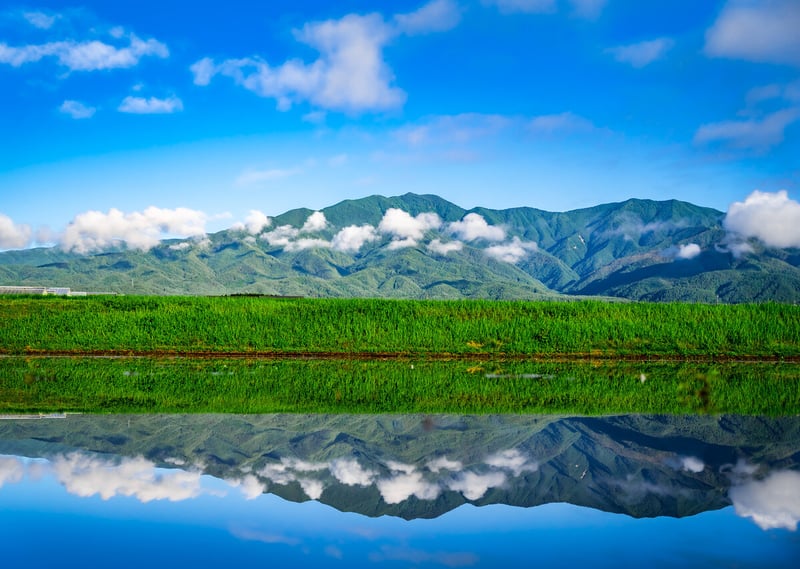 夏の経ヶ岳(有賀雄大) (1)