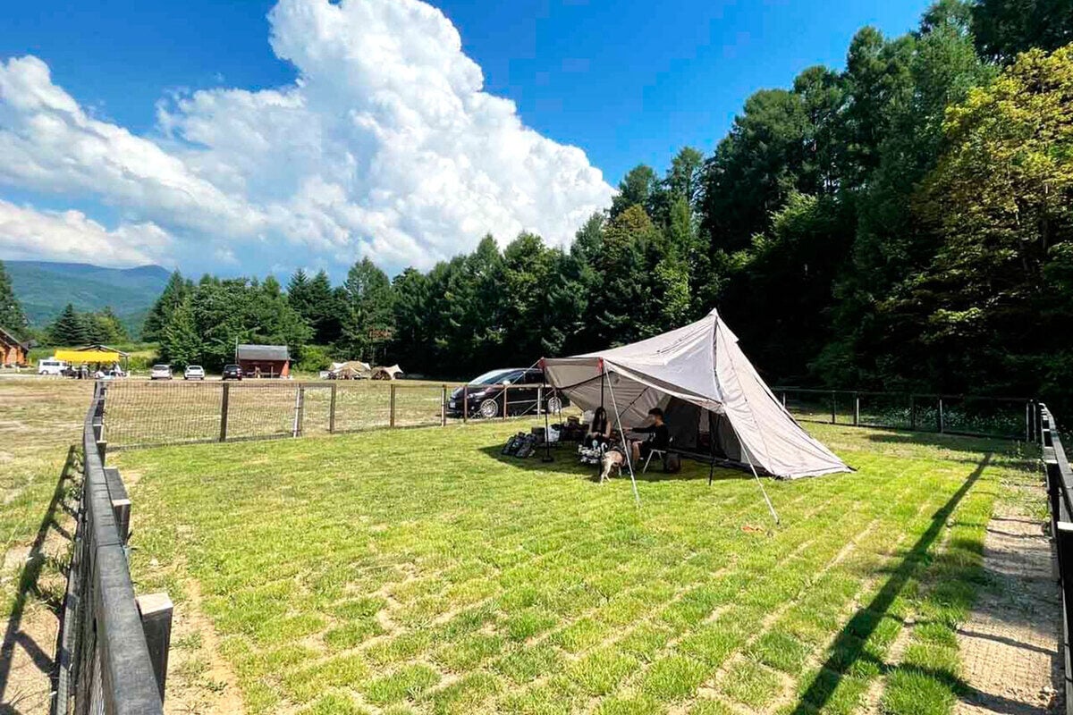 信州 安い キャンプ場 ペット可能