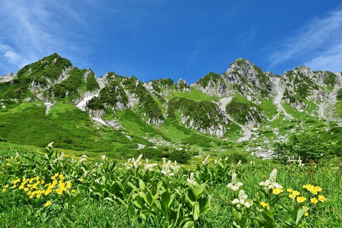 【中央アルプス】絶景と高山植物の宝庫「千畳敷カール」や木曽駒ヶ岳登山を楽しもう！アクセス方法や観光情報、登山ルートまとめ