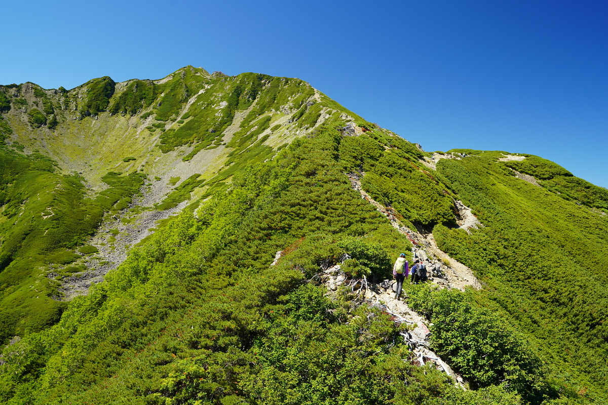 南アルプス登山に挑戦！長野県側から登れる初級～中級向けの5コースを紹介