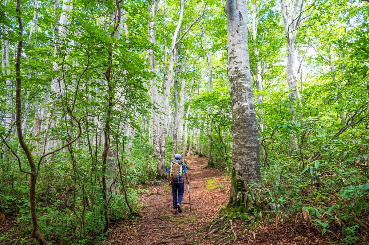 The Shin-etsu Trail